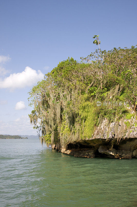 岩石上的热带植被，多米尼加共和国Los Haitises NP